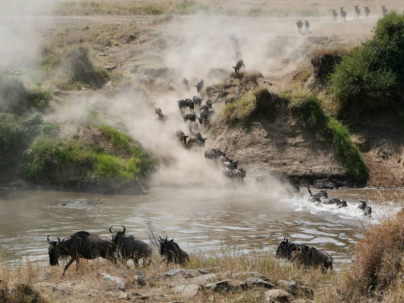 What to Expect on your first Safari to Masai Mara